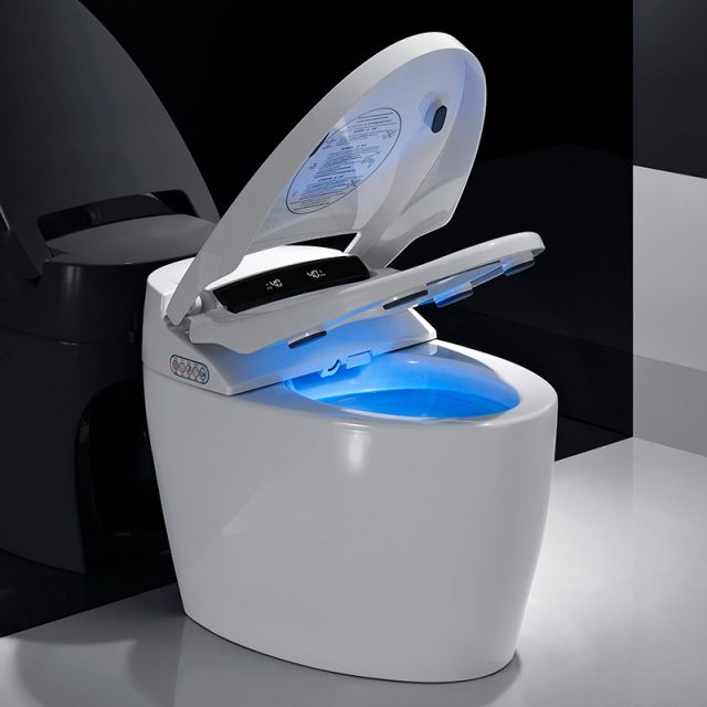 Ceramic smart toilet seat with bidet (5)