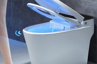 Factory supplier custom intelligent smart toilet (1)