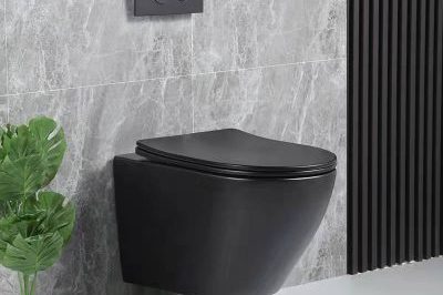 Matt water closet back wall hung toilet (2)