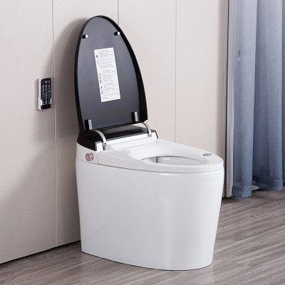 Modern luxury bathroom ceramic smart toilet (1)