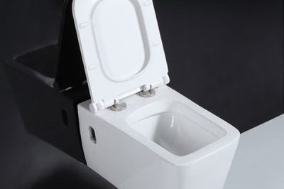 Saving wall hung toilet for eur market (1)