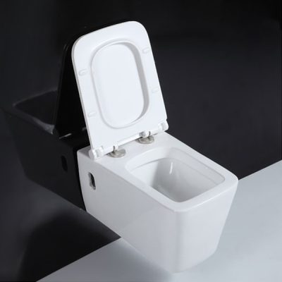 Saving wall hung toilet for eur market (1)