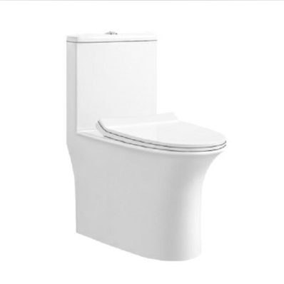 Water saving dual flush ceramic toilets (3)