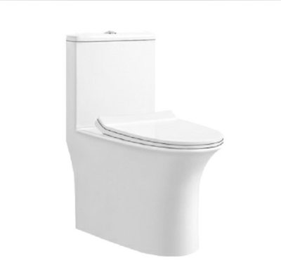 Water saving dual flush ceramic toilets (3)