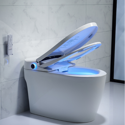 Wholesale bathroom intelligent automatic smart toilet (3)