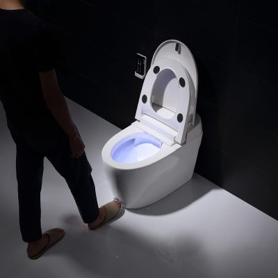 Wholesale bathroom vanity wc smart toilet (3)