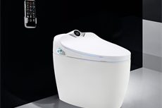 Custom Toilet Smart Function (13)