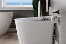 Custom Toilet Smart Function (16)