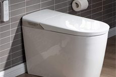 Custom Toilet Smart Function (18)