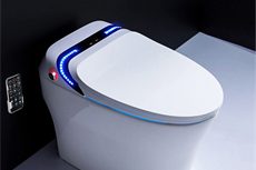 Custom Toilet Smart Function (23)