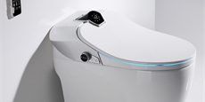 Custom Toilet Smart Function (26)
