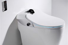 Custom Toilet Smart Function (26)